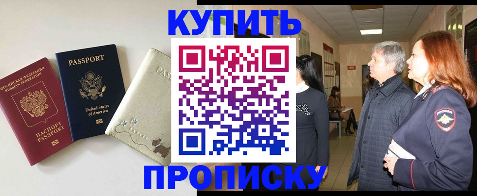 где прописаться в Сертолово